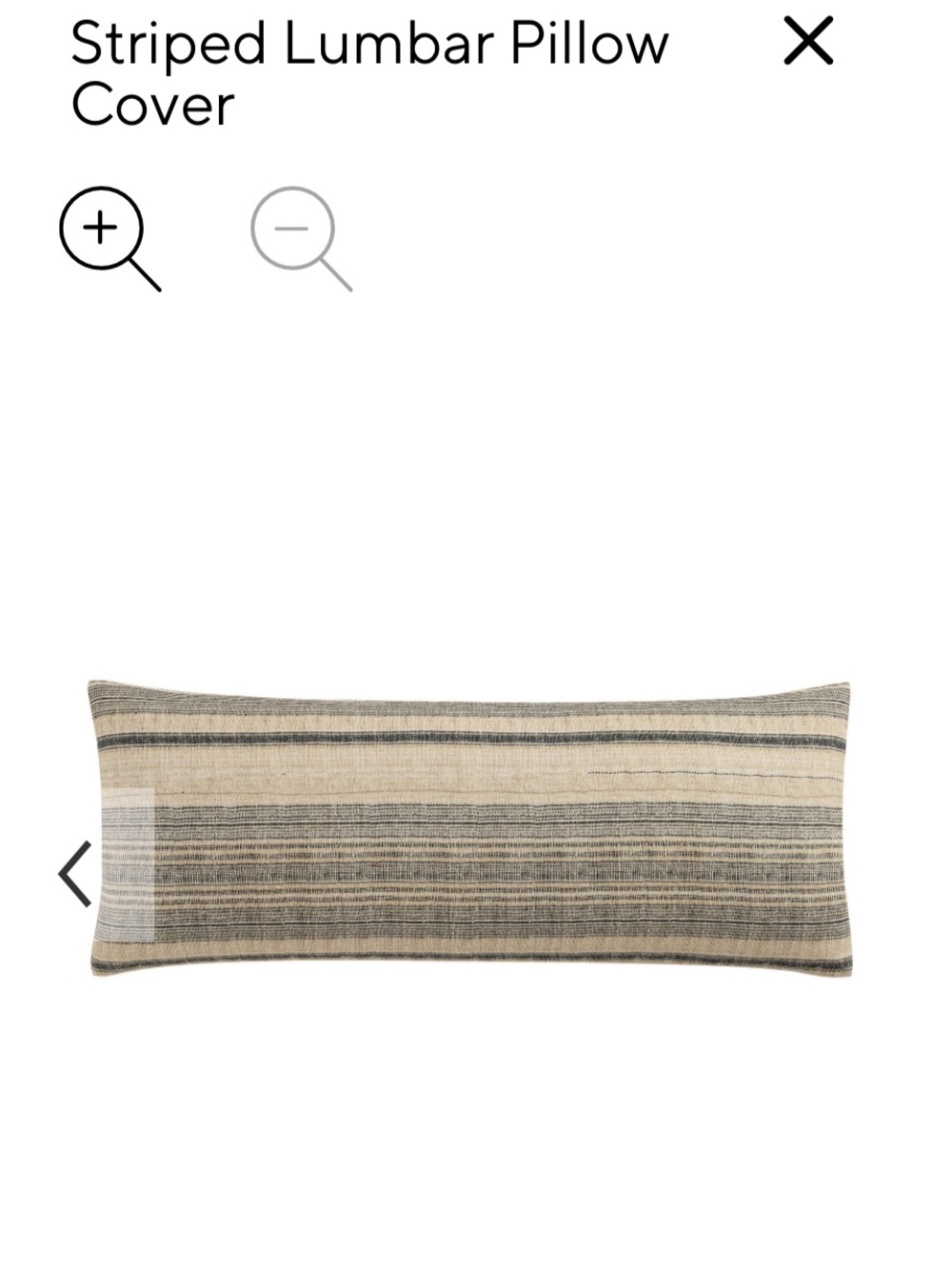 Pottery Barn Neutral Striped Lumbar Pillow Cover in Natural and Black